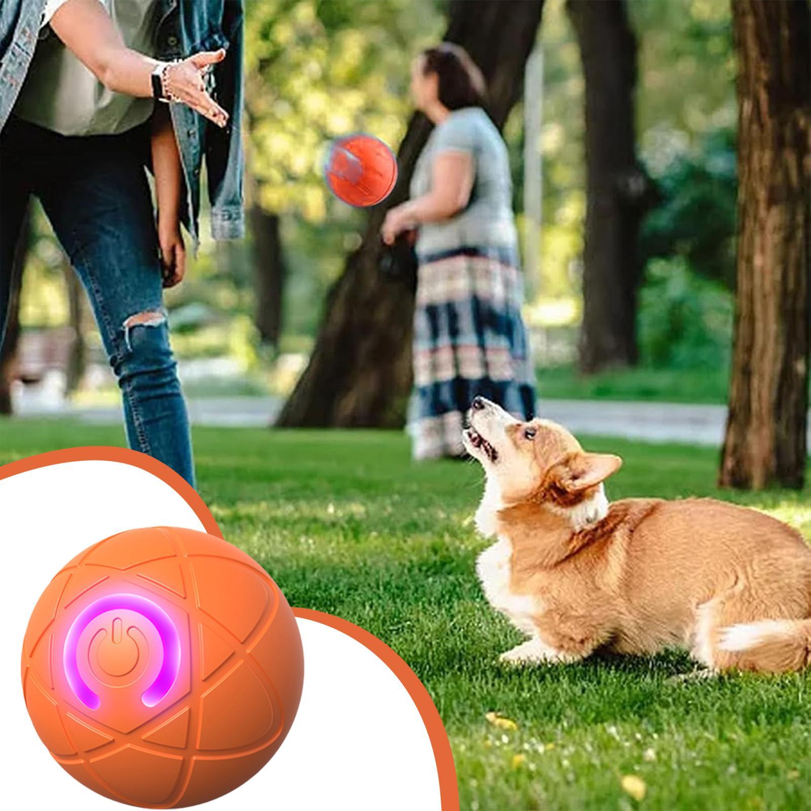 Automatic Moving Dog Ball - Slim interactief hondenspeelgoed voor agressieve kauwers