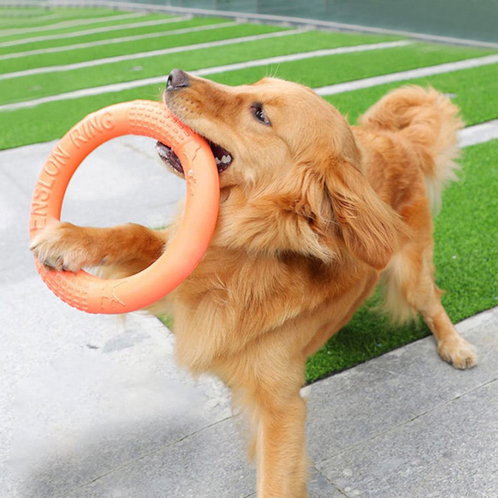 1 Stuk Oranje Hond Speelgoed H - Flying Disc Dog Training Toy recensie en prijs