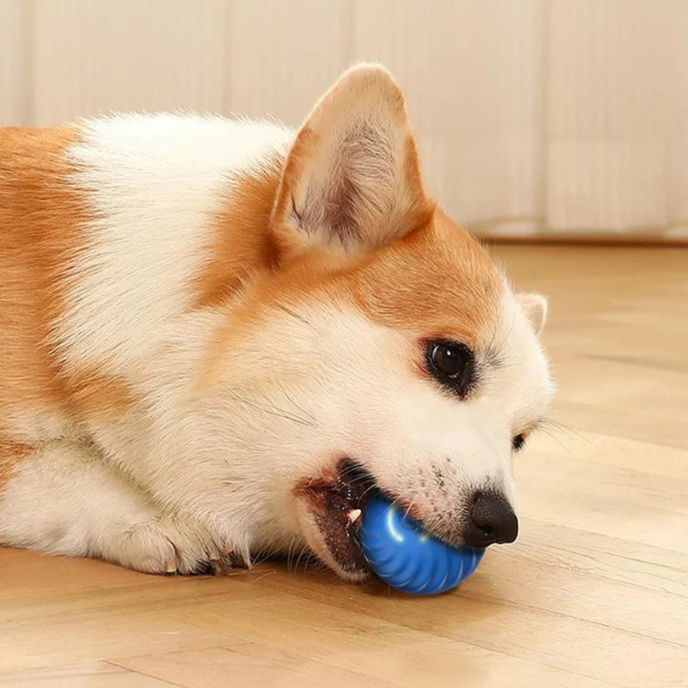 Nieuwe 1 st Automatische Beweg - Automatic Moving Dog Ball recensie en prijs