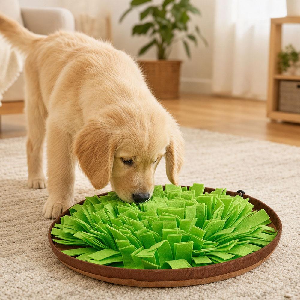 Hondensnorfmat, interactief vo - Dog Puzzle Feeder Toy recensie en prijs