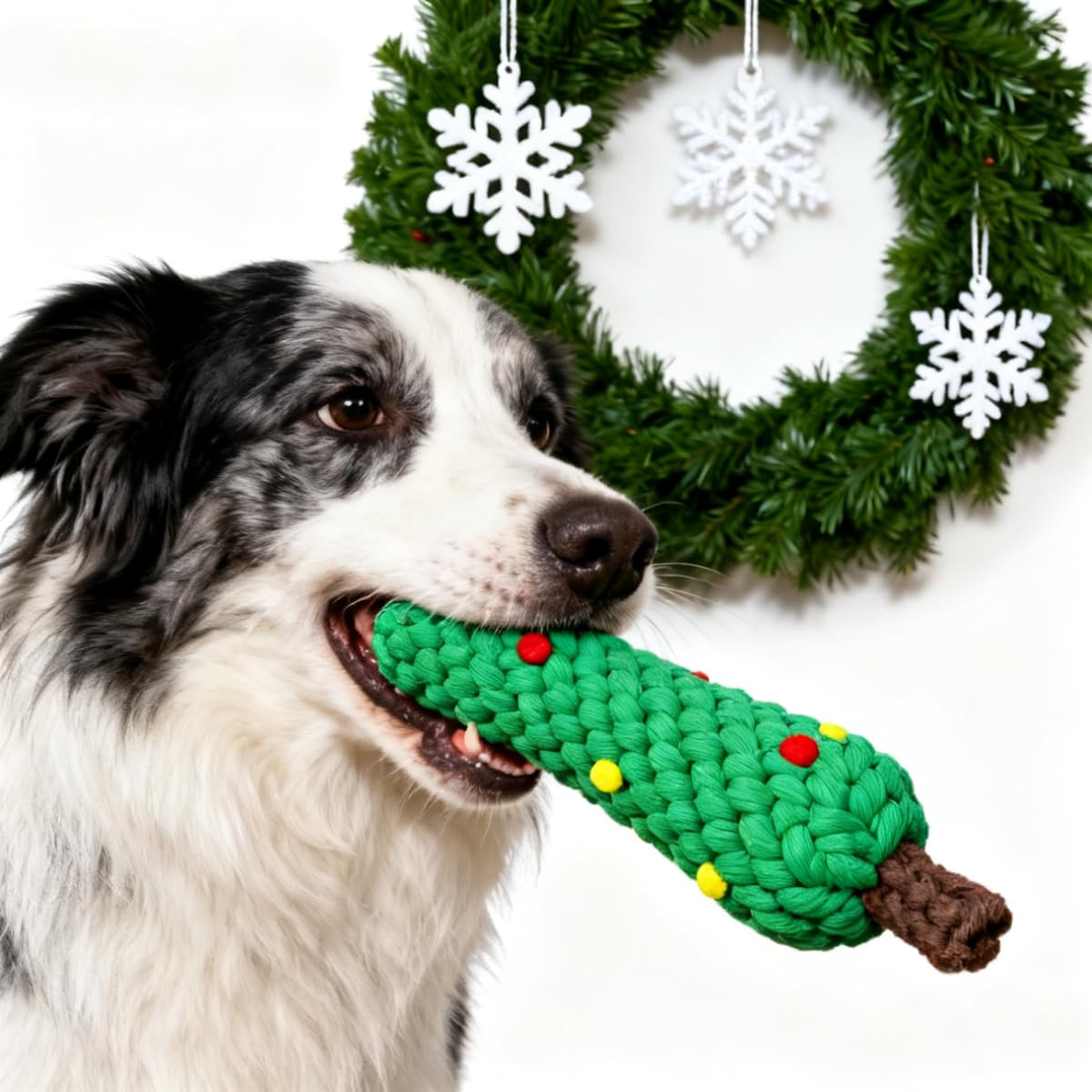 Kerst katoenen touw kauwspeelt - Teeth Cleaning Dog Chew Bone recensie en prijs