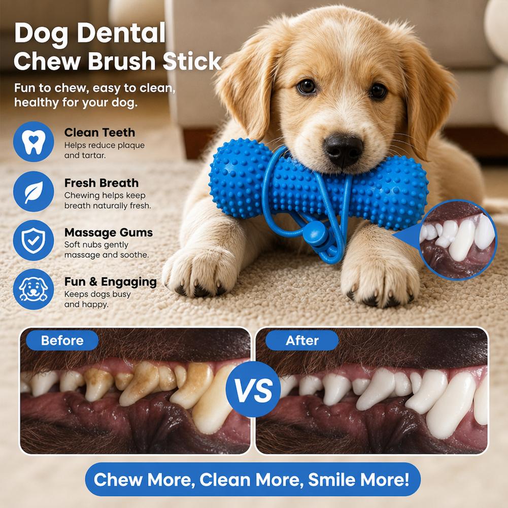 Kauwstok voor honden, in de vo - Teeth Cleaning Dog Chew Bone recensie en prijs