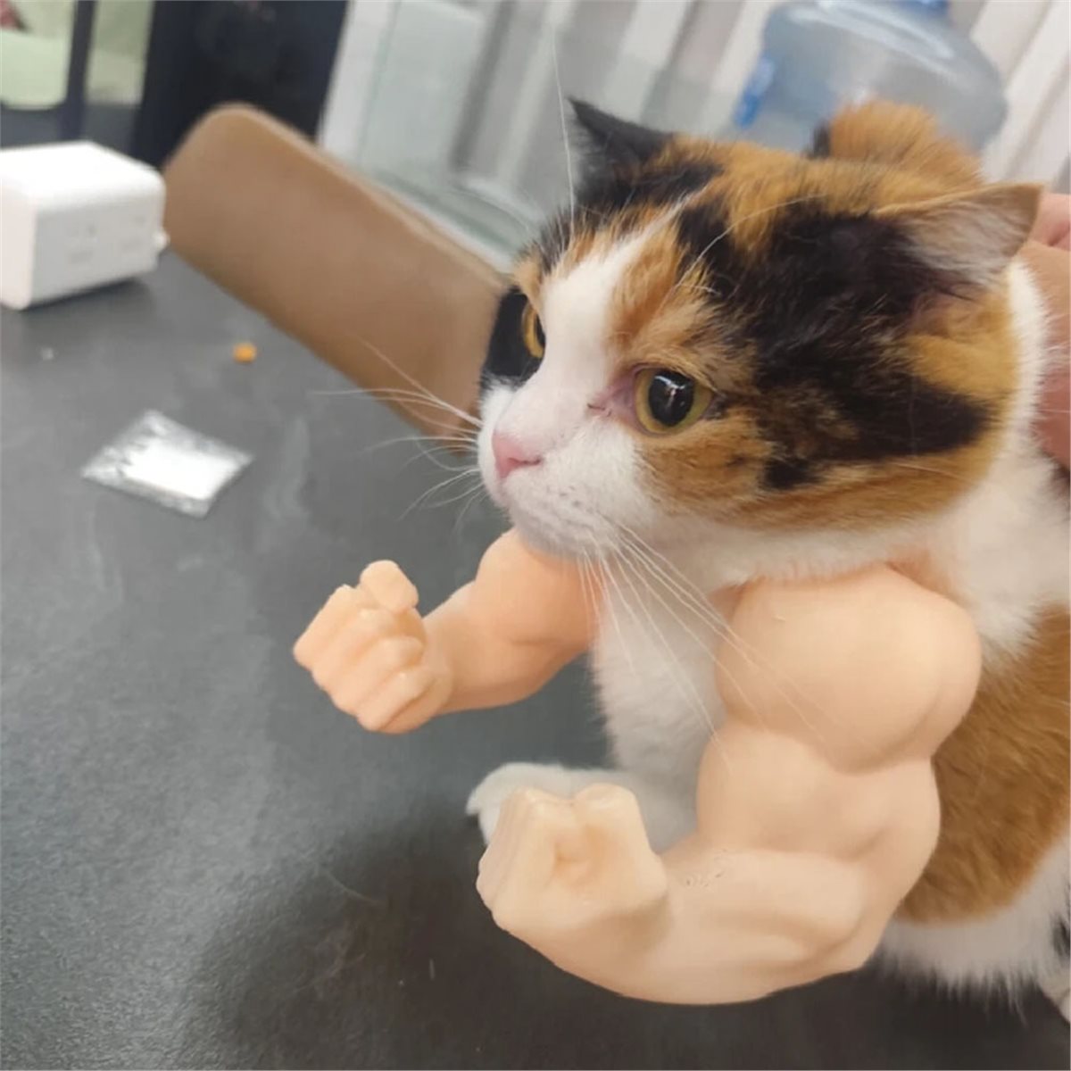 NIEUW: Kat Spierarm Hanger, Hu - Cat Toys recensie en prijs