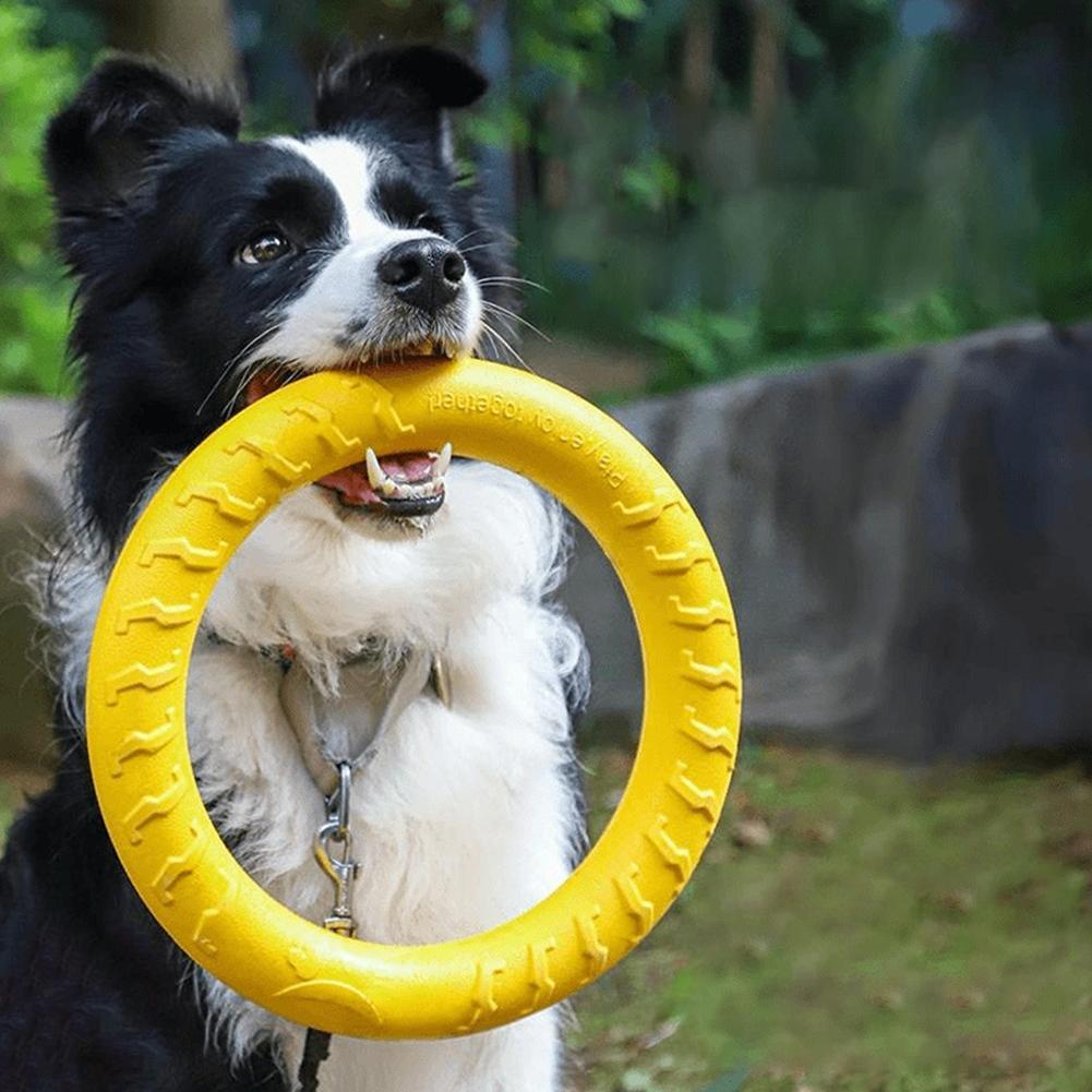 Hondenspeeltjes: onverwoestbar - Indestructible Dog Chew Toy recensie en prijs